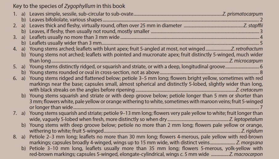 Zygophyllum