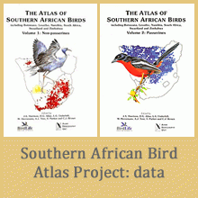 View and download data on recent (SABAP1) and historical distributions, protected status and more for Namibia's birds. See the movements of flamingos fitted with GPS satellite tracking devices under the 'Flight paths for wetland flagships' project.