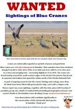 Report sightings of blue cranes poster