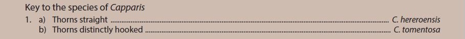 Capparis