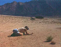 Taking photos of plants