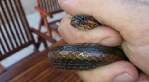 Photo: Curt-Ingo Sagell