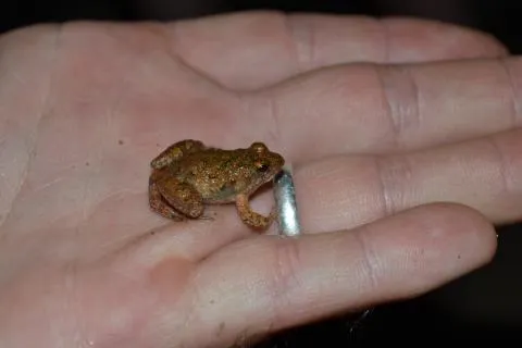 Photo: Francois Becker