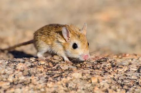 Photo: Morgan Hauptfleisch