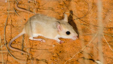 Photo: Morgan Hauptfleisch