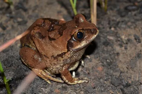 Photo: Francois Becker