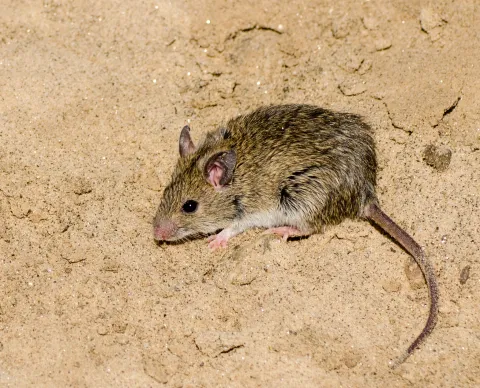 Photo: Morgan Hauptfleisch