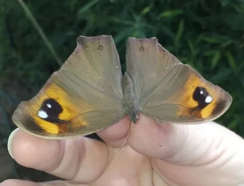 Photo: Alex Singleton