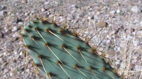 Photo: Coleen Mannheimer