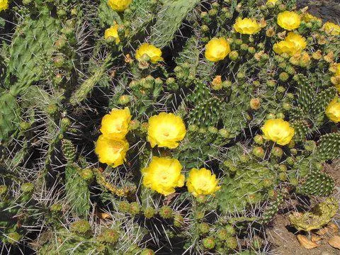 Photo: Coleen Mannheimer