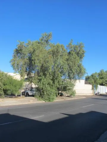 Photo: Coleen Mannheimer