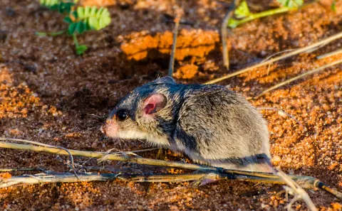 Photo: Morgan Hauptfleisch