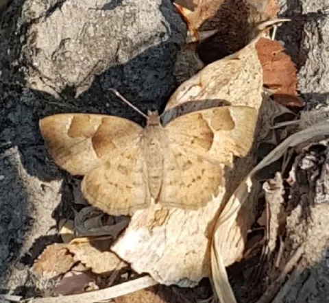 Photo: Alex Singleton