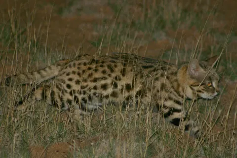 Photo: Martina Kusters