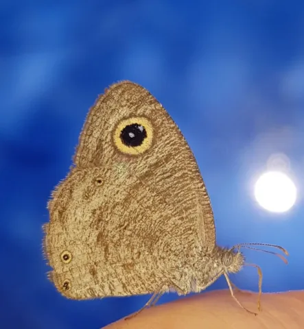 Photo: Alex Singleton