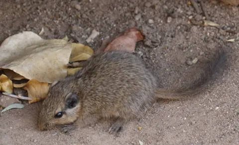 Photo: Corné Rautenbach