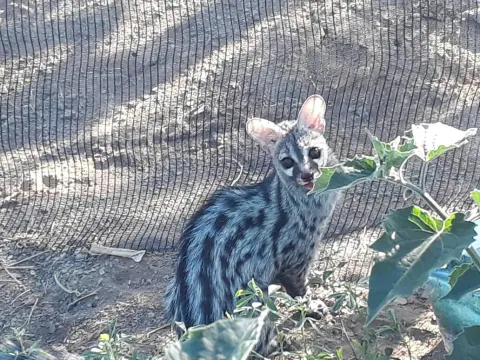 Photo: Peter Cunningham