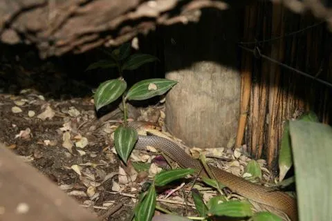 Photo: Nadja Le Roux