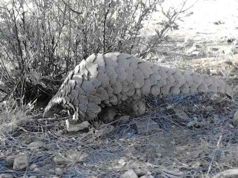 Photo: Tony Robertson