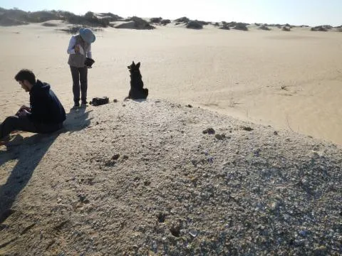 Typical large shell midden © Photo: J. Kinahan