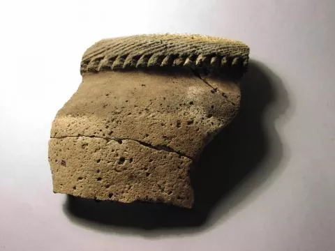 16th century agricultural pot rim © Photo: J. Kinahan