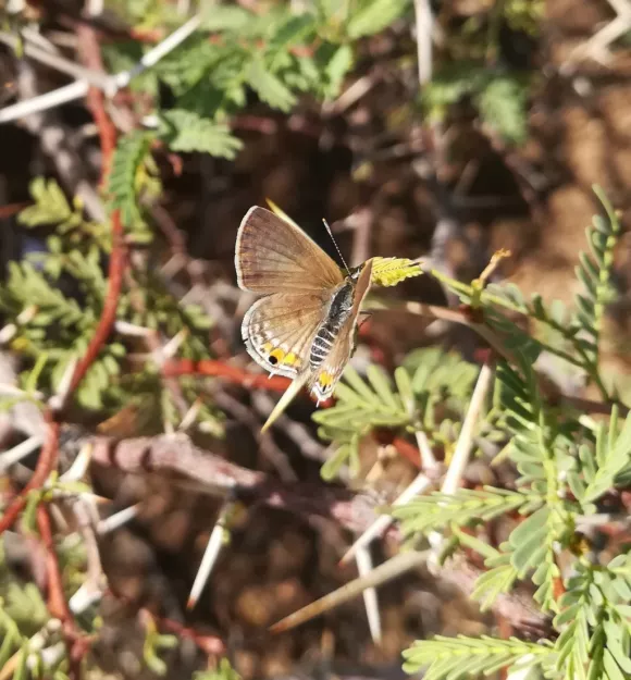 Photo: Matthew Walters