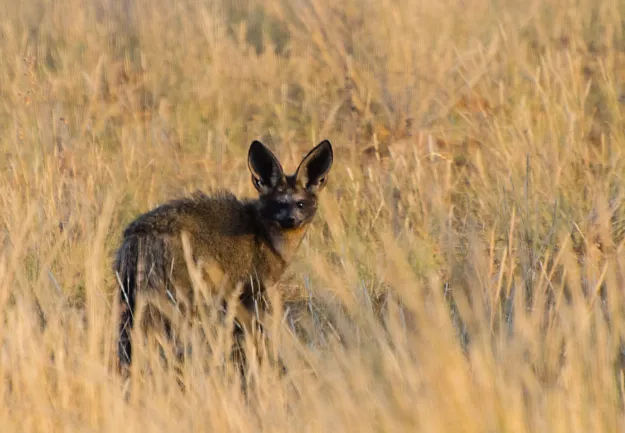 Photo: Morgan Hauptfleisch