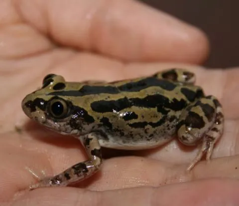 Photo: Peter Cunningham