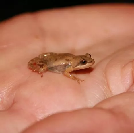 Photo: Peter Cunningham