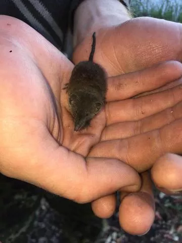 Photo: Herman Aindongo