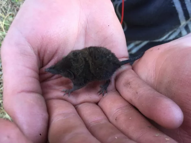 Photo: Herman Aindongo