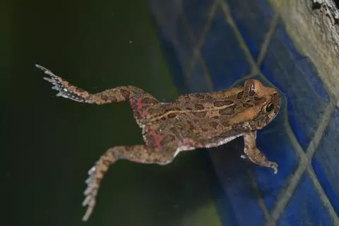 Photo: Francois Becker