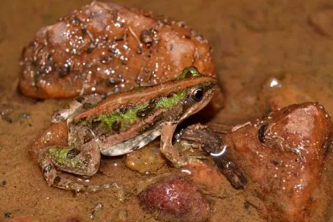 Photo: Francois Becker