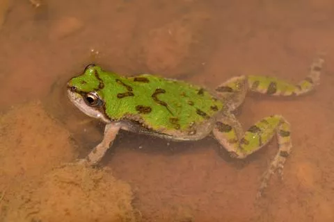 Photo: Francois Becker