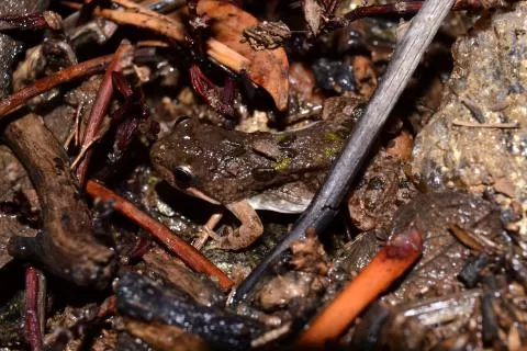 Photo: Francois Becker