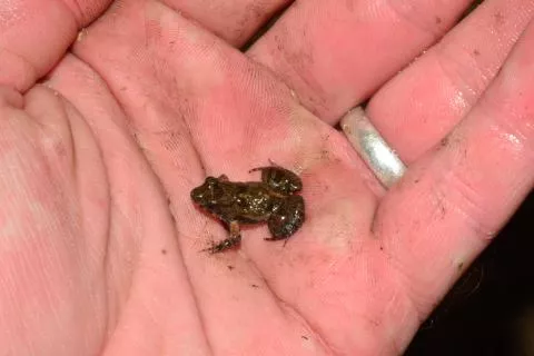 Photo: Francois Becker