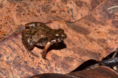 Photo: Francois Becker