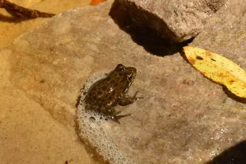 Photo: Francois Becker