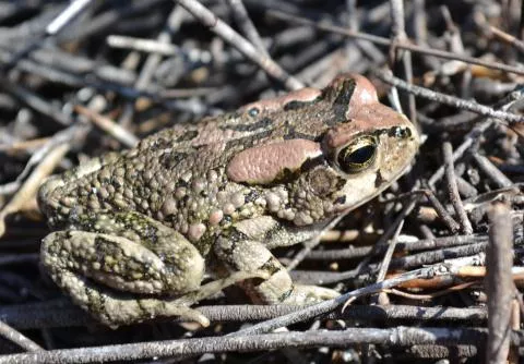 Photo: Francois Becker