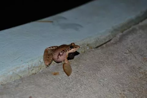 Photo: Francois Becker