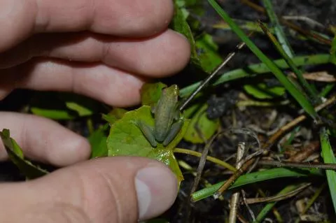 Photo: Francois Becker