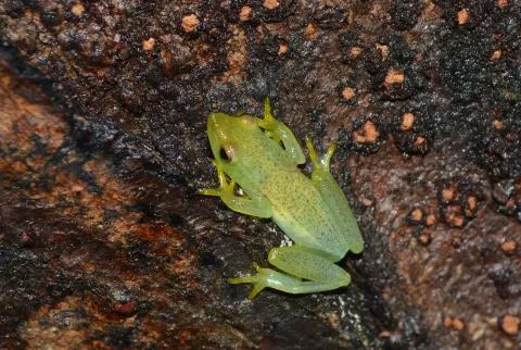 Photo: Francois Becker