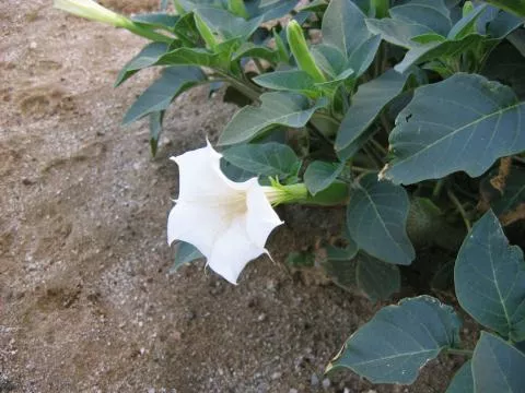 Photo: Coleen Mannheimer