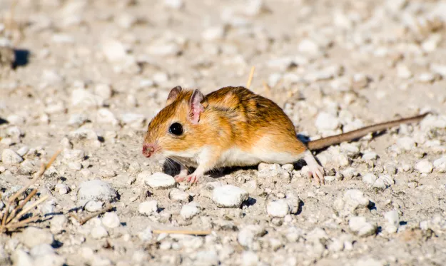 Photo: Morgan Hauptfleisch