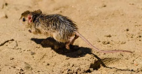 Photo: Morgan Hauptfleisch