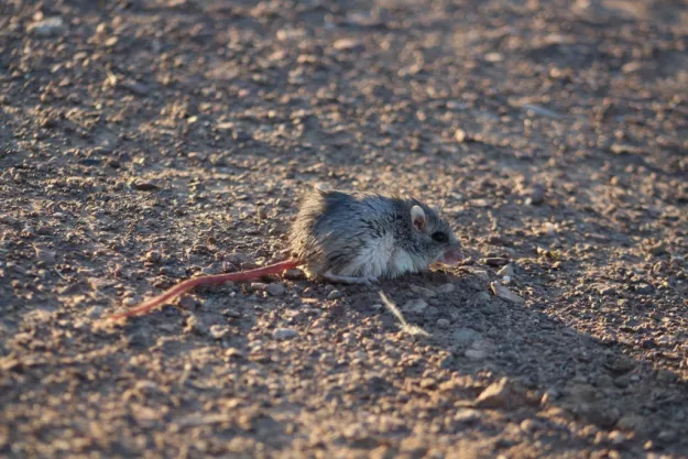 Photo: Matthew Walters