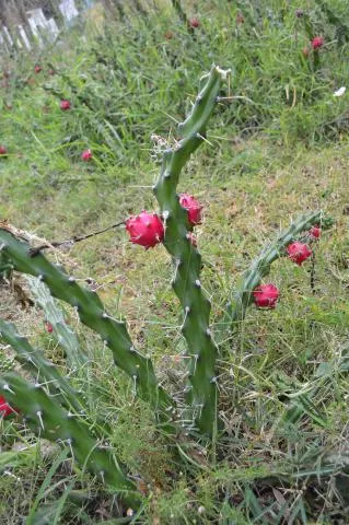 Photo: Hildegard Klein