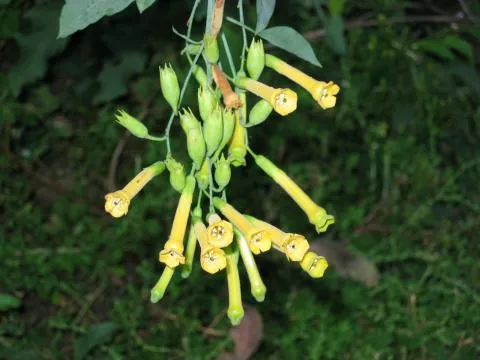 Photo: Coleen Mannheimer