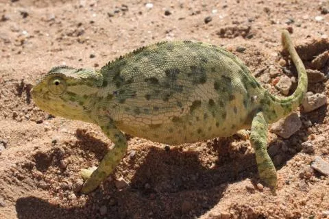 Photo: Sonja Schubert