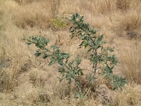 Photo: Coleen Mannheimer